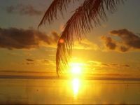  Coral Palms Executive Beachfront Resort