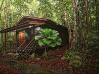  Permai Rainforest Resort