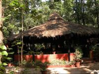  Kanha Jungle Lodge