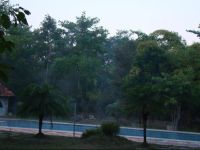  Mogli Resort Kanha