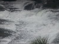  Coorg Summer Palace Homestay