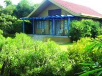  The Celebration Van Vilas