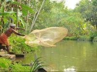  Kuttickattil Gardens Homestay