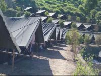  Mogli Camps