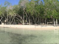  Eco-hostal Casa Nativa Isla