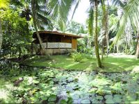  Hotel La Costa de Papito