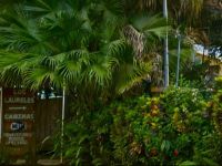  Cabinas Los Laureles