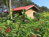  Costa Rica Holiday Home by Beach and Rain Forest