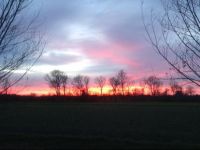  Holiday home Het Blauwe Hof