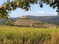  FarebnГЅ PenziГіn