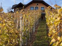  Vineyard Cottage Bregac