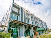  White Monkey Guesthouse