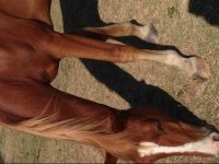  Casa en Carmelo - El Faro