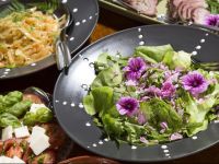  Pihlajapuu Guest House