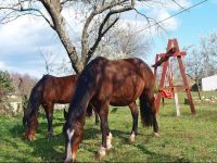  Krnica 6 Holiday Home