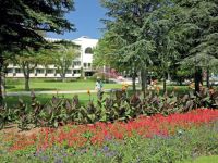  Lebed (Р›РµР±РµРґСЊ)