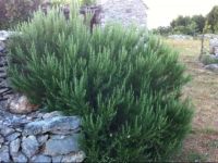  Country House DoДЌine Selca