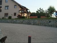  Family PuЕЎkariД‡