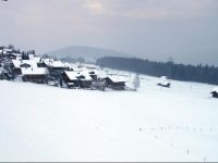  Ferienwohnung Aeschi Park