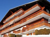  Apartment Gai Matin II Chesieres