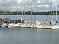  ODriscolls Bed & Breakfast