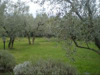  Agriturismo Il Cerreto