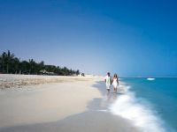 ОАЭ, Джебель-Али, Jebel Ali Golf Resort and Spa 5* Palm Tree Court & Spa