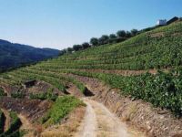  Pousada de Alijo - Barao de Forrester