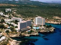  Sol Mastines Chihuahuas