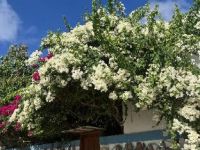  Lagoon Villa Thoddoo