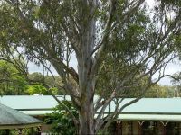  The Bearded Dragon Boutique Hotel