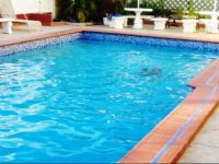  Bananaquit Apartments