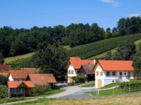  Gasthof Kirchenwirt Mirth