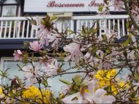  Boscawen Inn