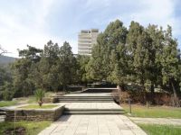  РќРѕРІС‹Р№ РЎРІРµС‚