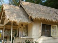  Rayang Island Resort