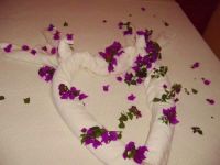  Mavi Koy (Blue Holiday Village) Hotel Gulluk 3*