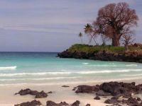  РћС‚РµР»СЊ 3*