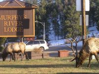  Murphys River Lodge