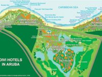  Tamarijn Aruba All Inclusive