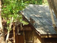  Bonhomie Beach Cottage Krabi