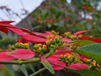  Exploreans Ngorongoro Lodge