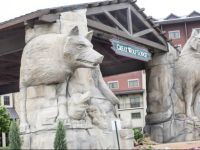 Great Wolf Lodge Grapevine