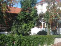  Anton und Edith Zimmermann