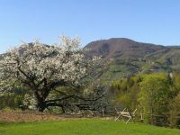  Turisticna Kmetija Marjanca