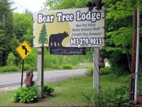  Bear Tree Lodge