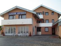  Pansion Antonio