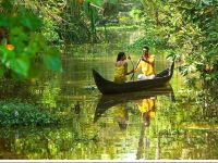  Green Fields Kumarakom