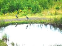  Coppertoppe Inn & Retreat Center