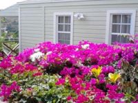  The Ocean Inn Antigua